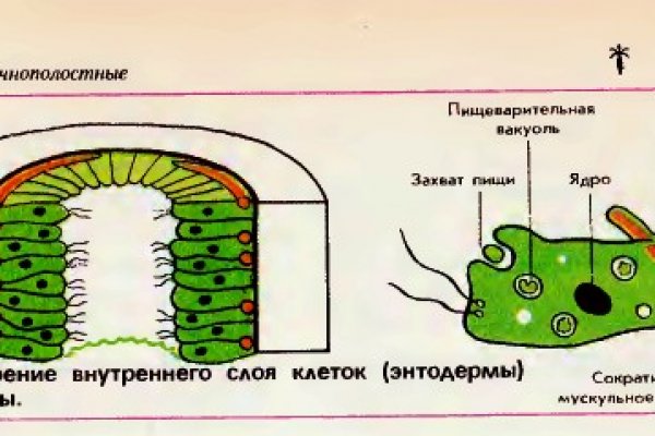 Найти ссылку на кракен